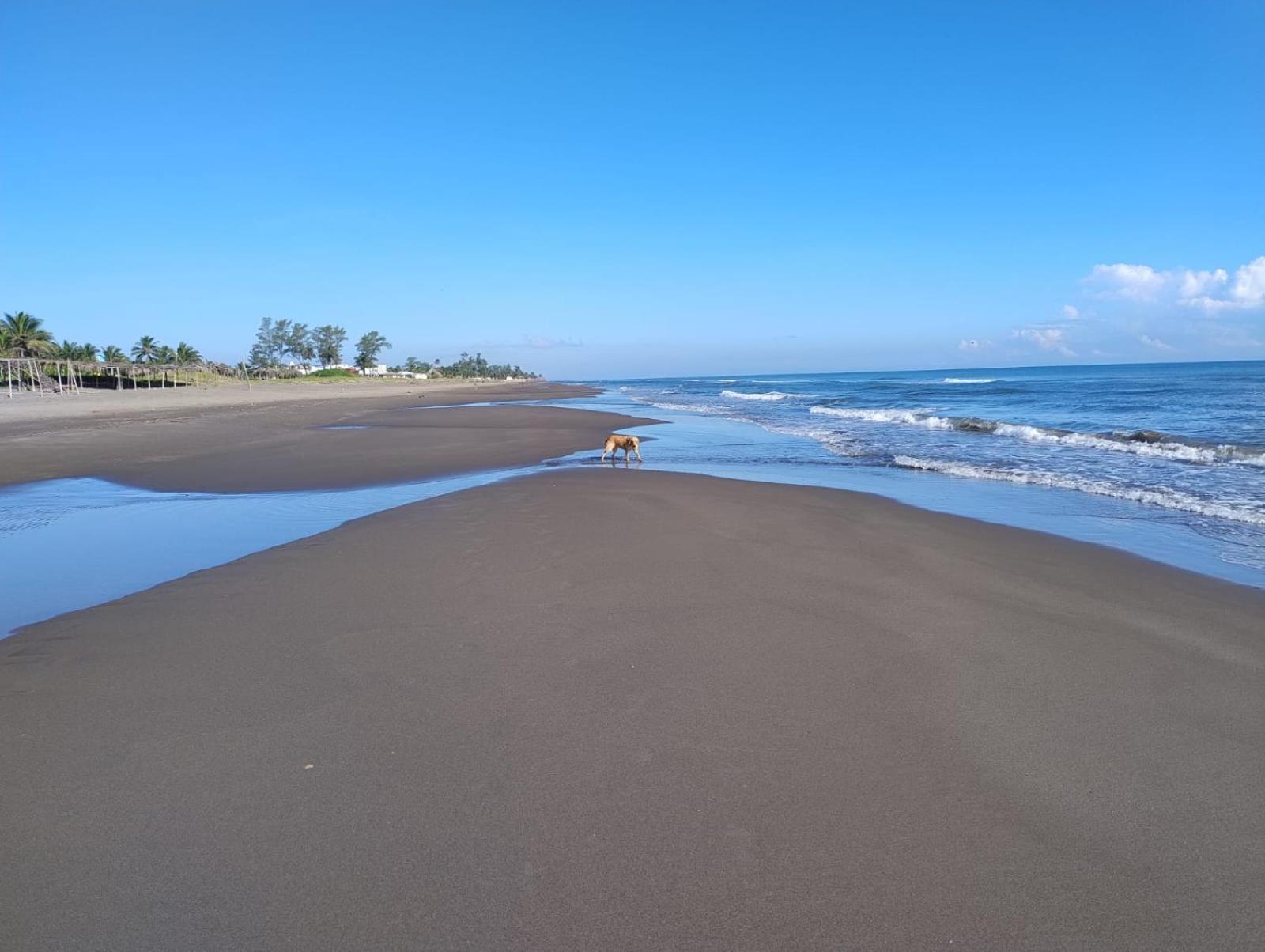 Playa Encantada Casitas Luaran gambar